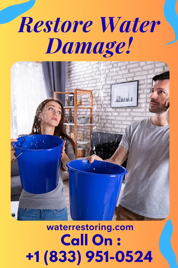water restoration Stellar Water Cleanup Partners Denton
