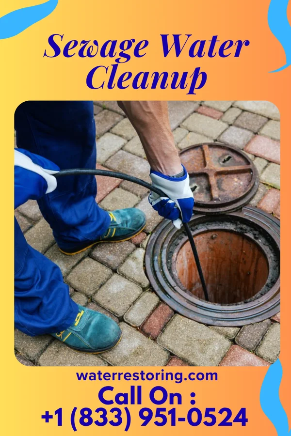 Sewage Water Cleanup in Denton, KS